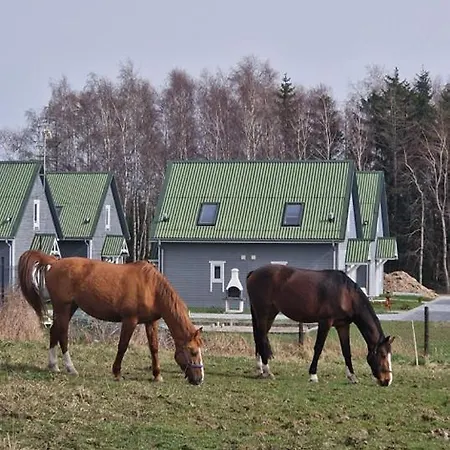 Domki Przy Stajni Rewal Exterior foto