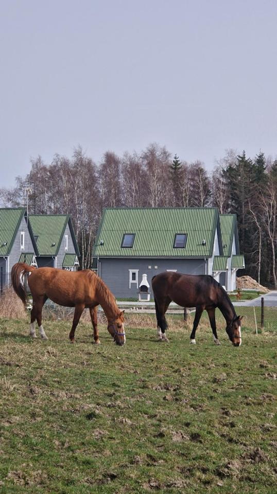 Przy Stajni