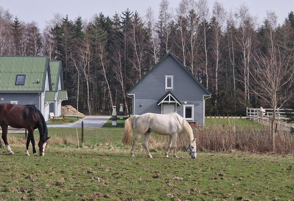 Przy Stajni Holiday home